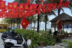 ベトナム中部｜調査の流れ