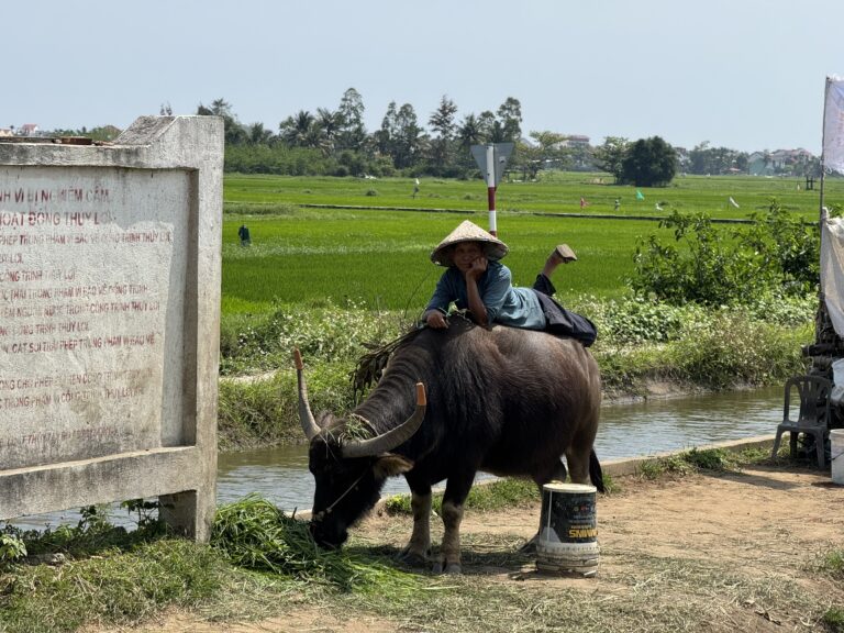 ホイアンで対応している主な探偵調査